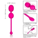 CALEXOTICS RECHARGEABLE DUAL KEGEL