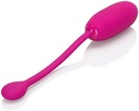 CALEXOTICS RECHARGEABLE KEGEL BALL ADVANCED