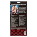SCANDAL Collar Body Restraint