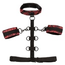 SCANDAL Collar Body Restraint
