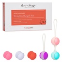 She-ology Interchangeable Weighted Kegel