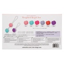 She-ology Interchangeable Weighted Kegel