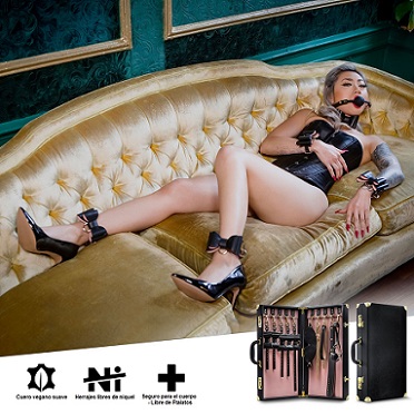 Temptasia - Safe Word - Bondage Kit with Suitcase
