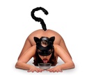 TAILZ - BLACK CAT TAIL ANAL PLUG & MASK SET