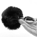 TAILZ - BUNNY TAIL ANAL PLUG & MASK SET