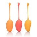CALEXOTICS KEGEL TRAINING SET MANGO