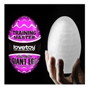 TRAINING MASTER GIANT EGG - Morado