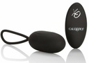 CALEXOTICS RECHARGEABLE EGG