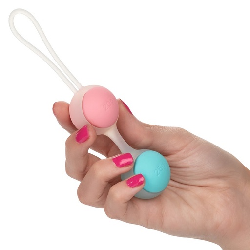[SE-1338-15-3] She-ology Interchangeable Weighted Kegel