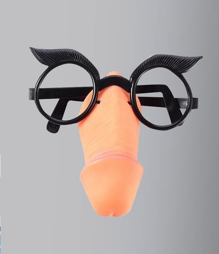 [XX017] Lentes WILLY